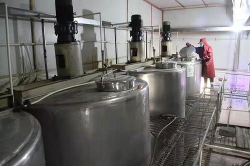 山西陽城 深耕糧食加工鏈條，賦能鄉村產業振興